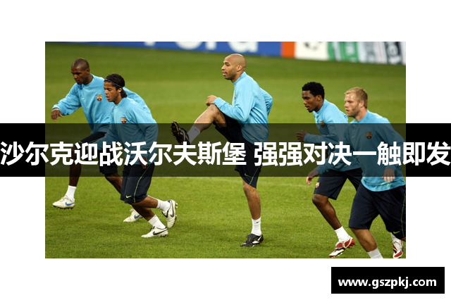沙尔克迎战沃尔夫斯堡 强强对决一触即发