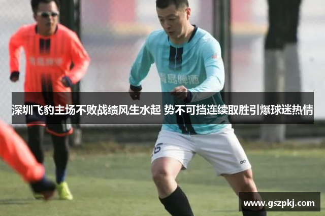 深圳飞豹主场不败战绩风生水起 势不可挡连续取胜引爆球迷热情
