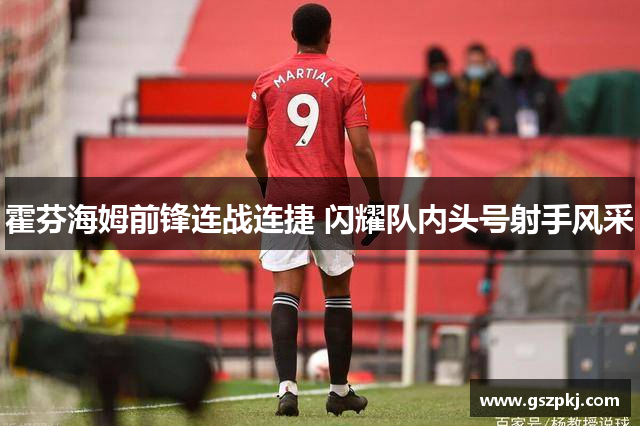 霍芬海姆前锋连战连捷 闪耀队内头号射手风采