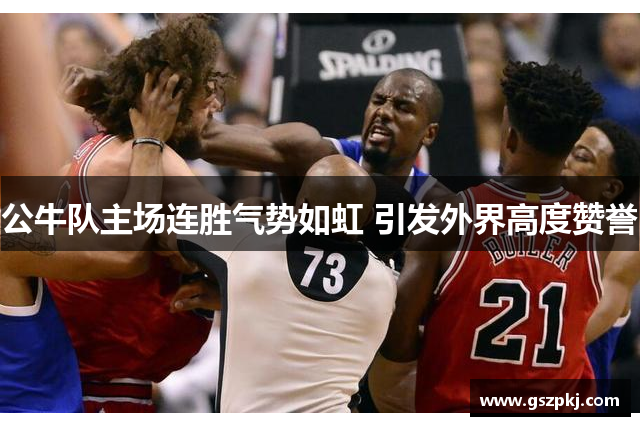 公牛队主场连胜气势如虹 引发外界高度赞誉