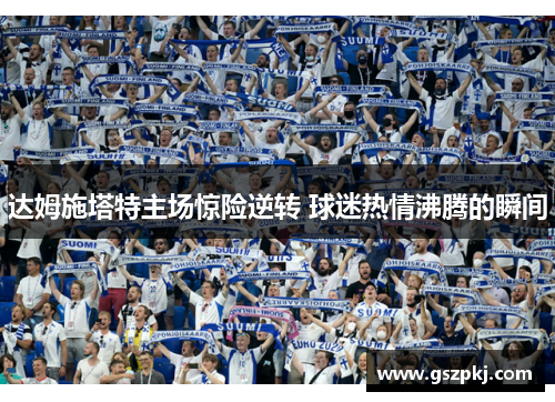达姆施塔特主场惊险逆转 球迷热情沸腾的瞬间