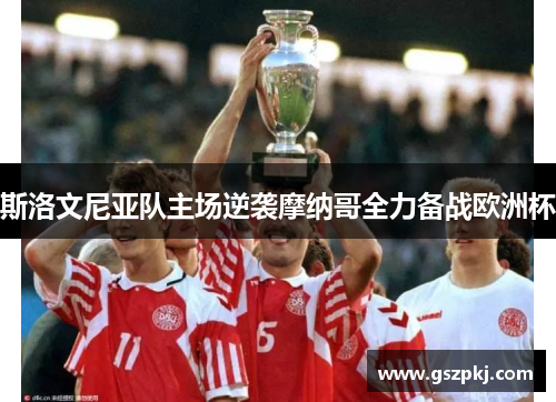 斯洛文尼亚队主场逆袭摩纳哥全力备战欧洲杯
