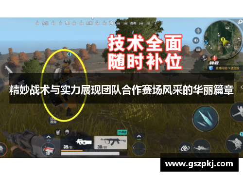 精妙战术与实力展现团队合作赛场风采的华丽篇章