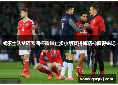 威尔士队梦碎欧洲杯遗憾止步小组赛拼搏精神值得铭记