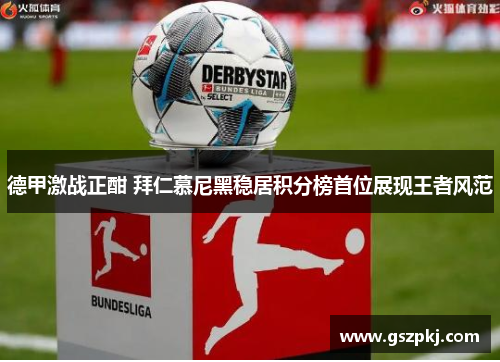 德甲激战正酣 拜仁慕尼黑稳居积分榜首位展现王者风范