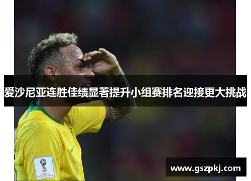 爱沙尼亚连胜佳绩显著提升小组赛排名迎接更大挑战