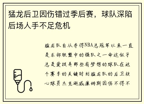 猛龙后卫因伤错过季后赛，球队深陷后场人手不足危机
