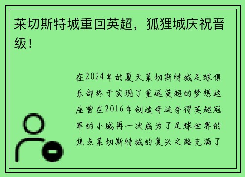 莱切斯特城重回英超，狐狸城庆祝晋级！