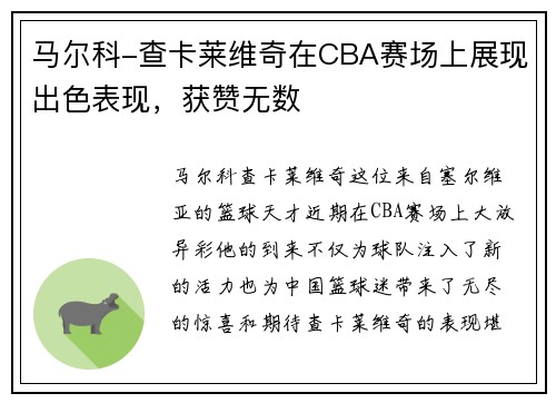 马尔科-查卡莱维奇在CBA赛场上展现出色表现，获赞无数
