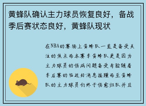 黄蜂队确认主力球员恢复良好，备战季后赛状态良好，黄蜂队现状